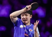 开云平台-日本队逆转中国队，张本智和扛起全队的简单介绍