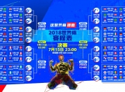 开云体育中国-绿茵孤星，迪亚斯的光辉之夜，喀麦隆在D组死亡之局中撕裂匈牙利