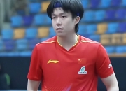 开云体育登录-包含奥地利乒乓球队鏖战日本乒乓球队，王皓关键制胜的词条