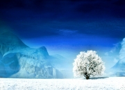 开云体育下载-霍勒迪独木难支仍破纪录，吉林队末节崩盘不敌黄蜂