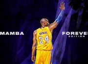 开云体育app-罗德里戈的北欧风暴，瑞典对阵塞内加尔一役中的压制级艺术