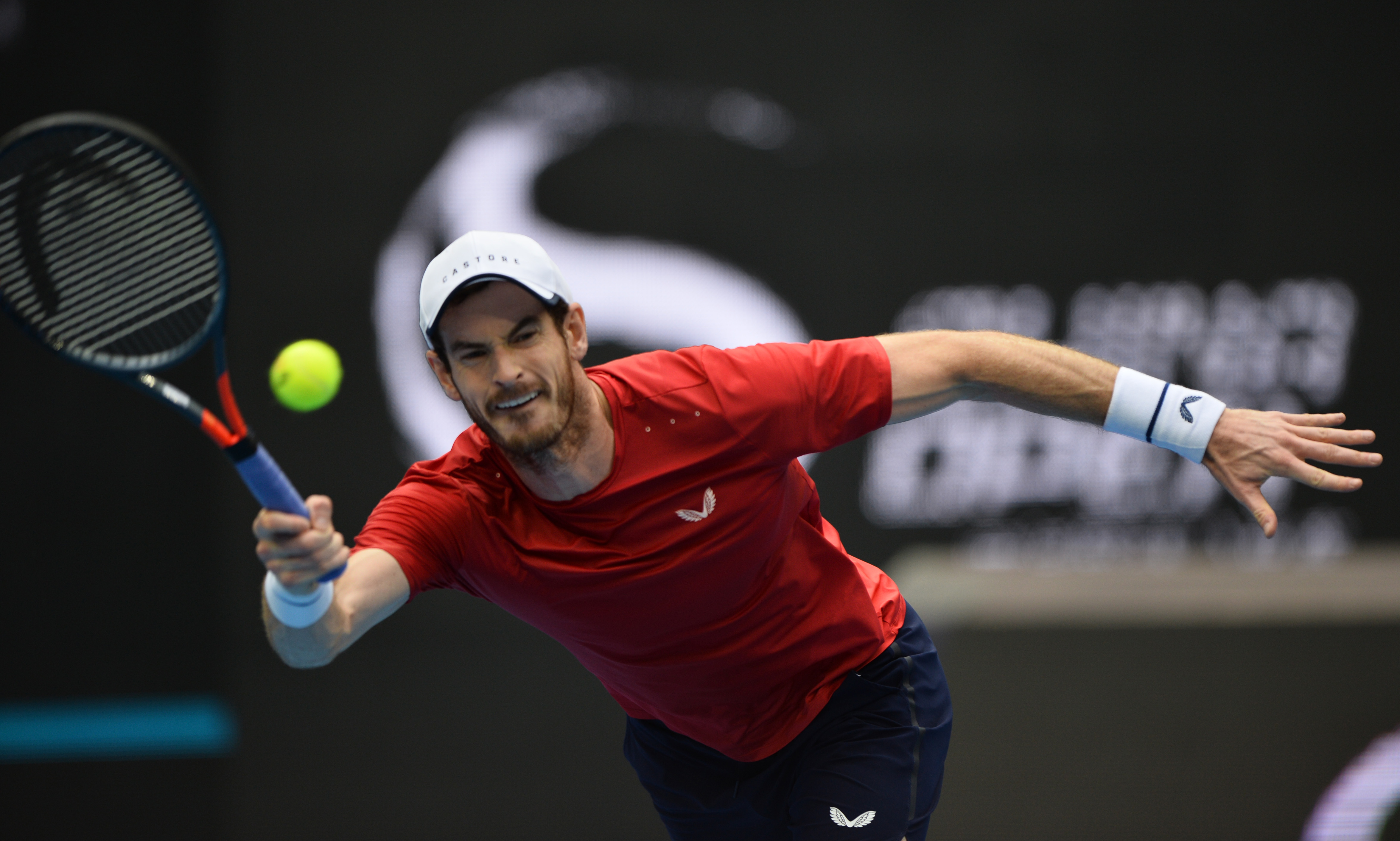 意大利网球队险胜英国网球队，穆雷高光表现的简单介绍