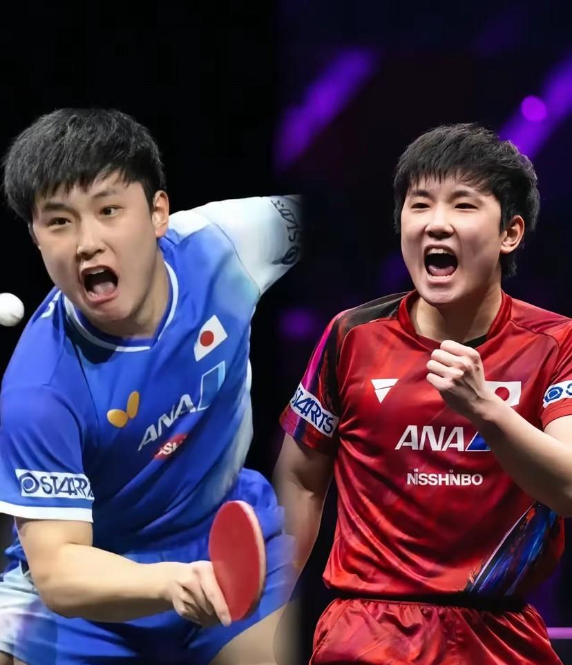 日本队逆转中国队，张本智和扛起全队的简单介绍
