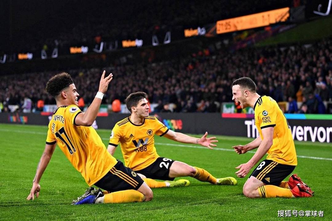 纽卡斯尔主场告捷，稳固中下游位置的简单介绍