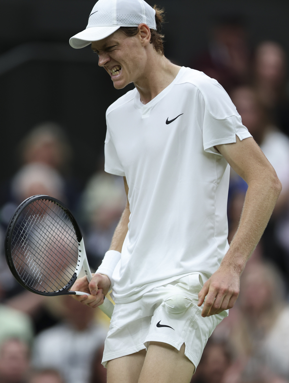 澳网横扫温网，梅德韦杰夫点燃赛场的简单介绍