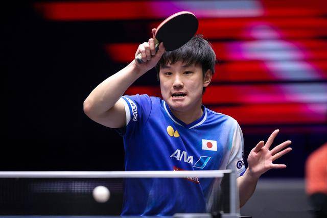 日本乒乓球队险胜韩国乒乓球队，张本智和打破历史纪录的简单介绍