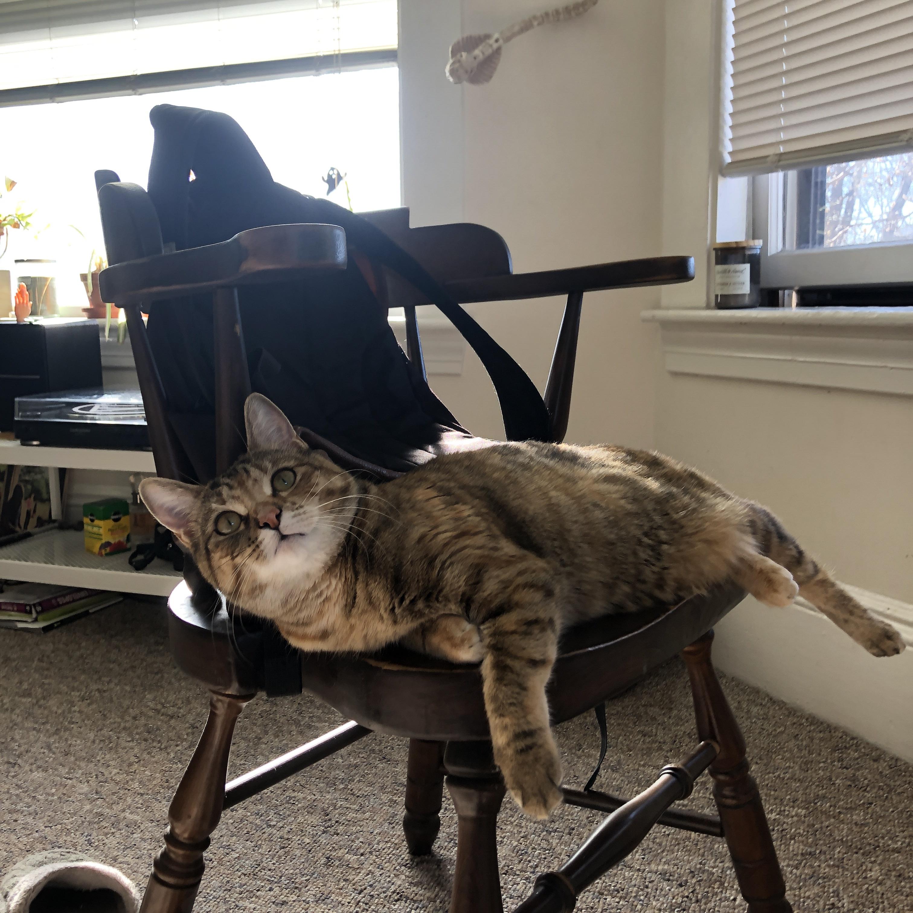 马丁内利独舞之夜,当勒沃库森遇见马里,一颗新星点燃欧陆赛场