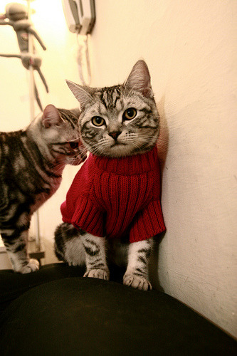 东决关键战之夜,莱奥数据全面爆炸,一场注定载入史册的表演